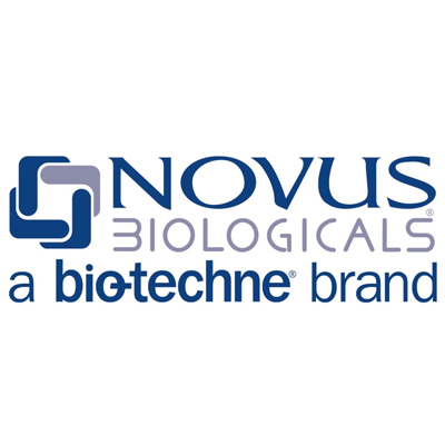 Novus